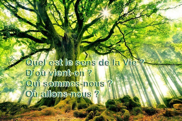 Arbre